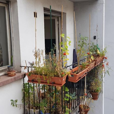 La Puisatiere 80 M2 Lejlighed Strasbourg Eksteriør billede