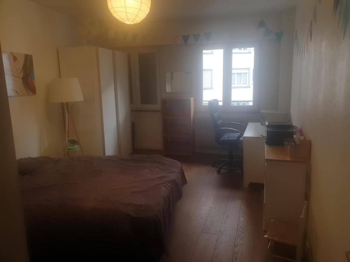 La Puisatiere 80 M2 Lejlighed Strasbourg Eksteriør billede