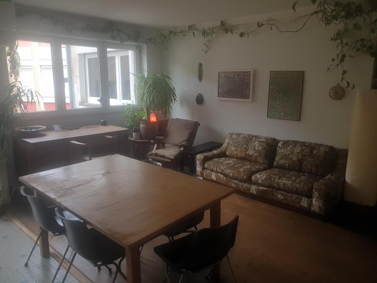 La Puisatiere 80 M2 Lejlighed Strasbourg Eksteriør billede