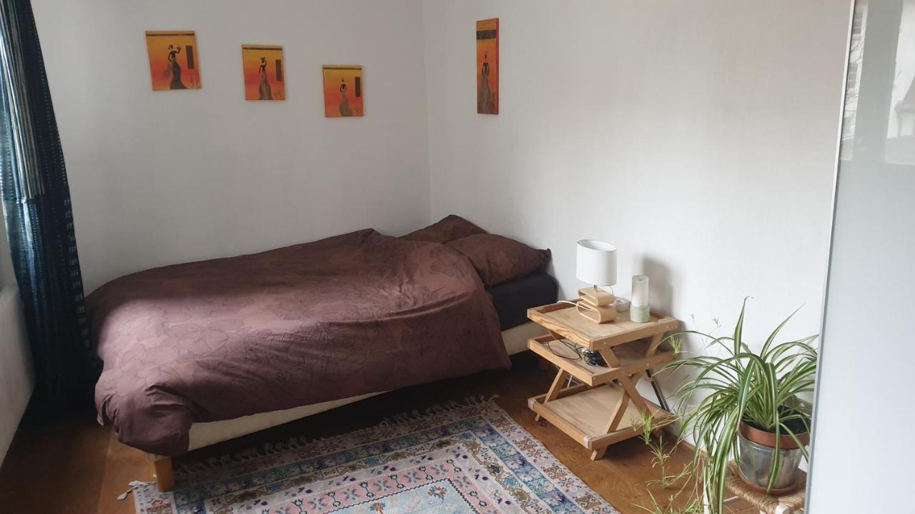 La Puisatiere 80 M2 Lejlighed Strasbourg Eksteriør billede