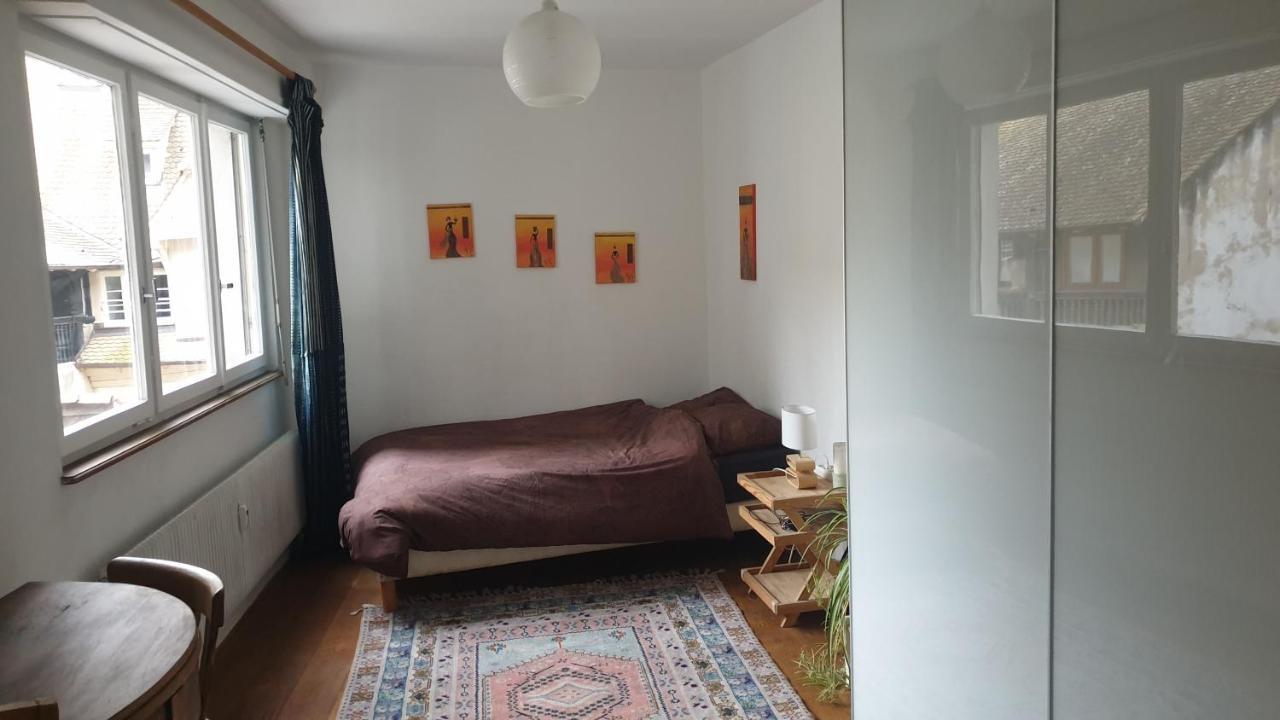 La Puisatiere 80 M2 Lejlighed Strasbourg Eksteriør billede