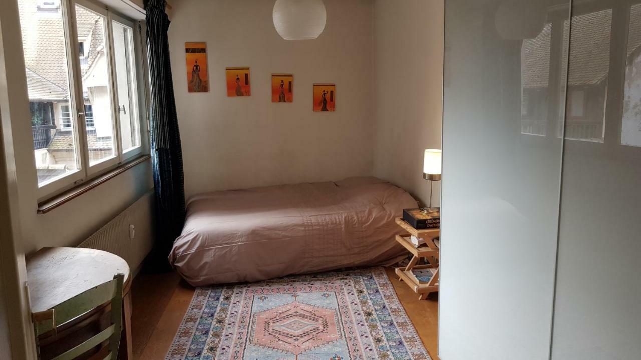 La Puisatiere 80 M2 Lejlighed Strasbourg Eksteriør billede